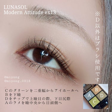 アイカラーレーション EX13 Modern Attitude（限定発売）/LUNASOL/アイシャドウパレットを使ったクチコミ（2枚目）