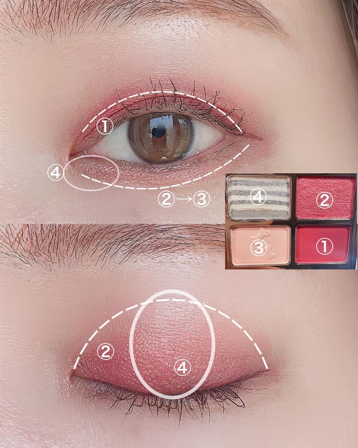 アニマルアイシャドウ(4シェード)/ZEESEA/アイシャドウパレットを使ったクチコミ(2枚目)