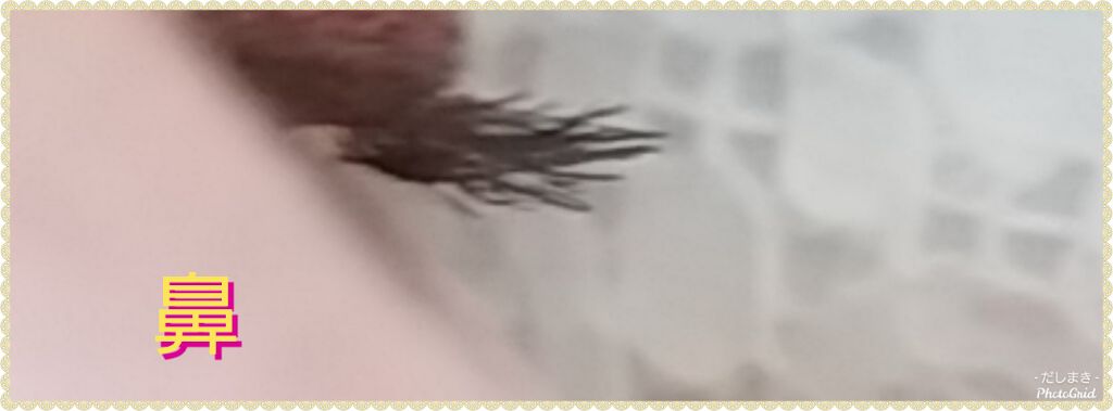 クイックラッシュカーラー　ロングマスカラ/キャンメイク/マスカラを使ったクチコミ（2枚目）