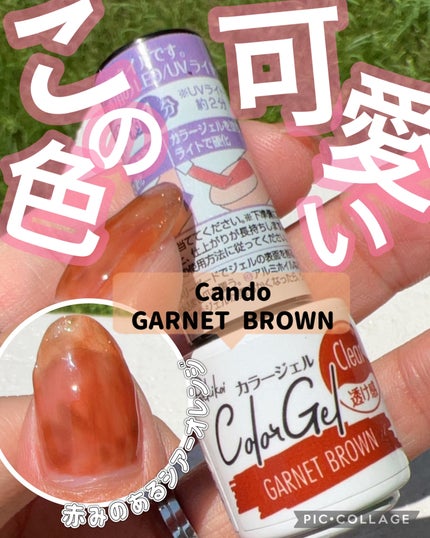 パル カラージェル/キャンドゥ/ジェルネイルを使ったクチコミ(1枚目)