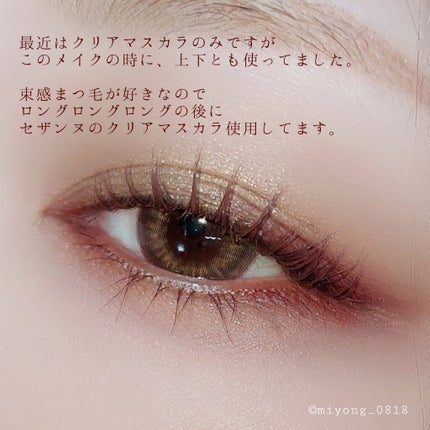 ラッシュエキスパンダー ロングロングロング EX/MAJOLICA MAJORCA/マスカラを使ったクチコミ(5枚目)