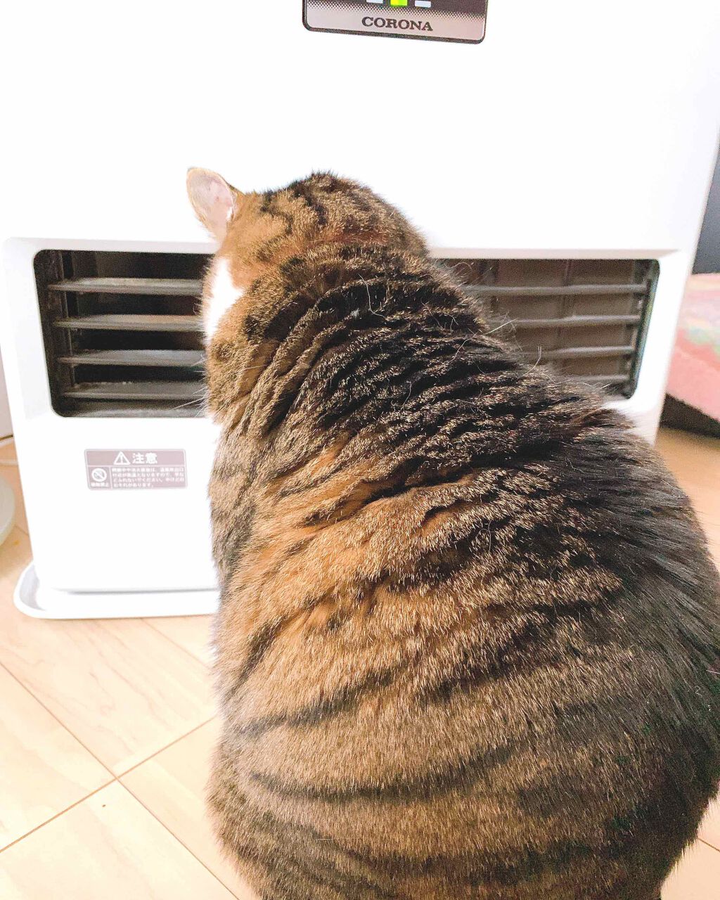 プリズム エアー シャドウ/CLIO/単色アイシャドウを使ったクチコミ(4枚目)