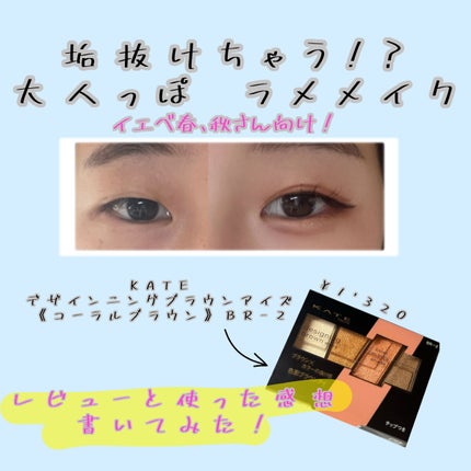 デザイニングブラウンアイズ/KATE/アイシャドウパレットを使ったクチコミ(1枚目)