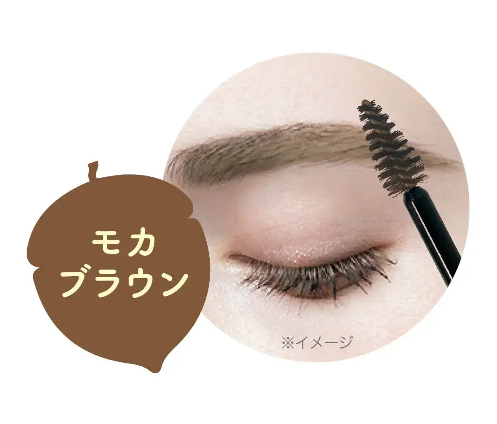 アヴァンセ アイブロウマスカラ&コート モカブラウン チップ&デール(限定)