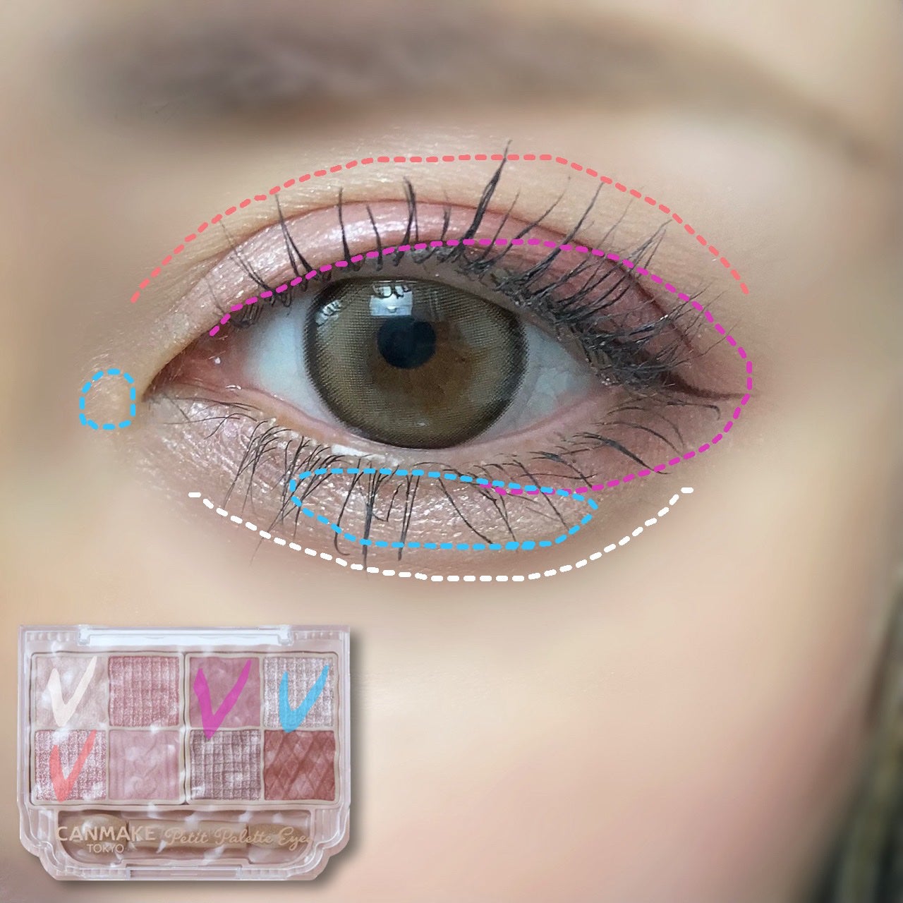 ãšã¬ã¬ã³ã¹ ã°ã©ãŽã£ãã£ã¬ã¹ ãã¹ã«ã©/Elégance/ãã¹ã«ã©ã䜿ã£ãã¯ãã³ãïŒ4æç®ïŒ