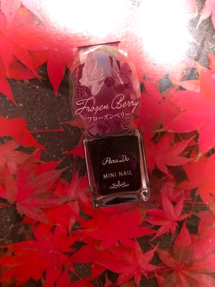 ミニネイル/パラドゥ/マニキュアを使ったクチコミ(4枚目)