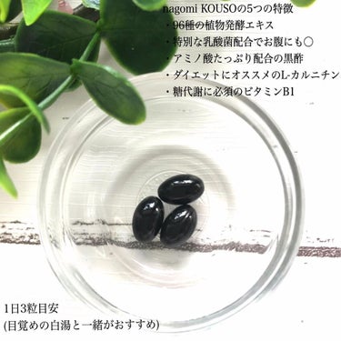 nagomi KOUSO 30粒/renaTerra/健康サプリメントを使ったクチコミ（2枚目）