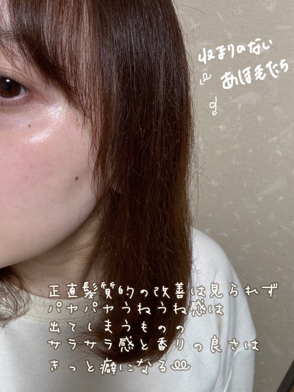 シャンプー/トリートメント SR/CLAYGE/市販シャンプーを使ったクチコミ(3枚目)