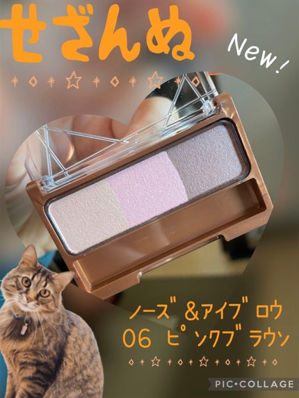 ノーズ&アイブロウパウダー/CEZANNE/パウダーアイブロウを使ったクチコミ(1枚目)