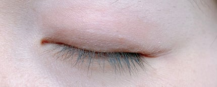 グロッシーリッチ アイズ N/Visée/アイシャドウパレットを使ったクチコミ(5枚目)