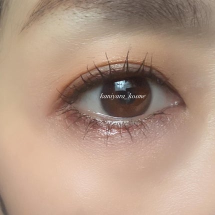 エテュセ アイエディション(グリッターライナー)/ettusais/リキッドアイライナーを使ったクチコミ(6枚目)