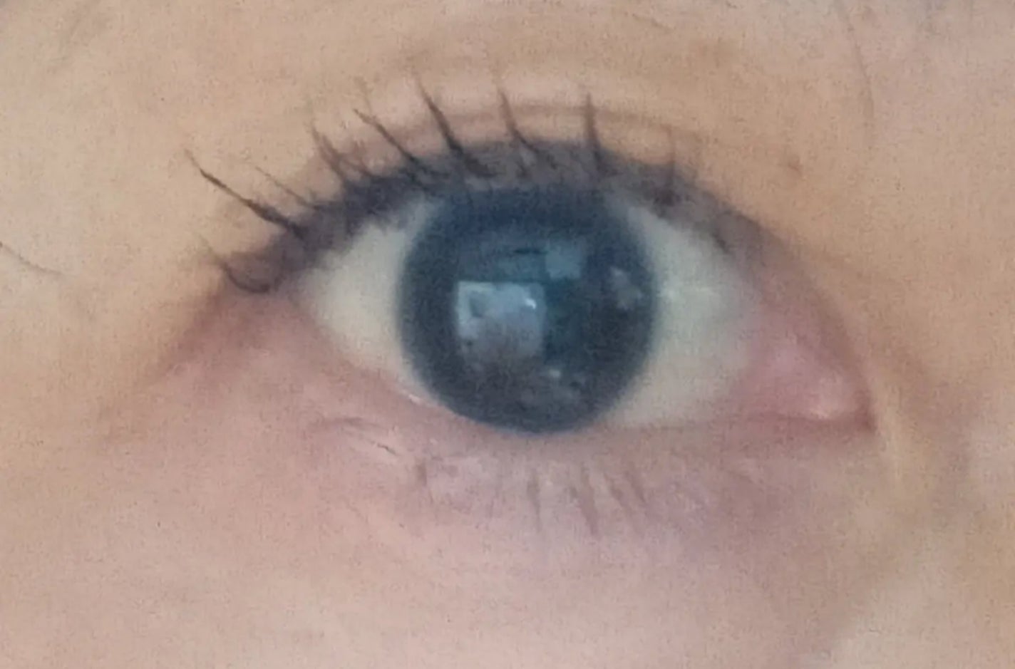 アヴァンセ ラッシュセラムイン マスカラ/アヴァンセ/マスカラを使ったクチコミ(2枚目)