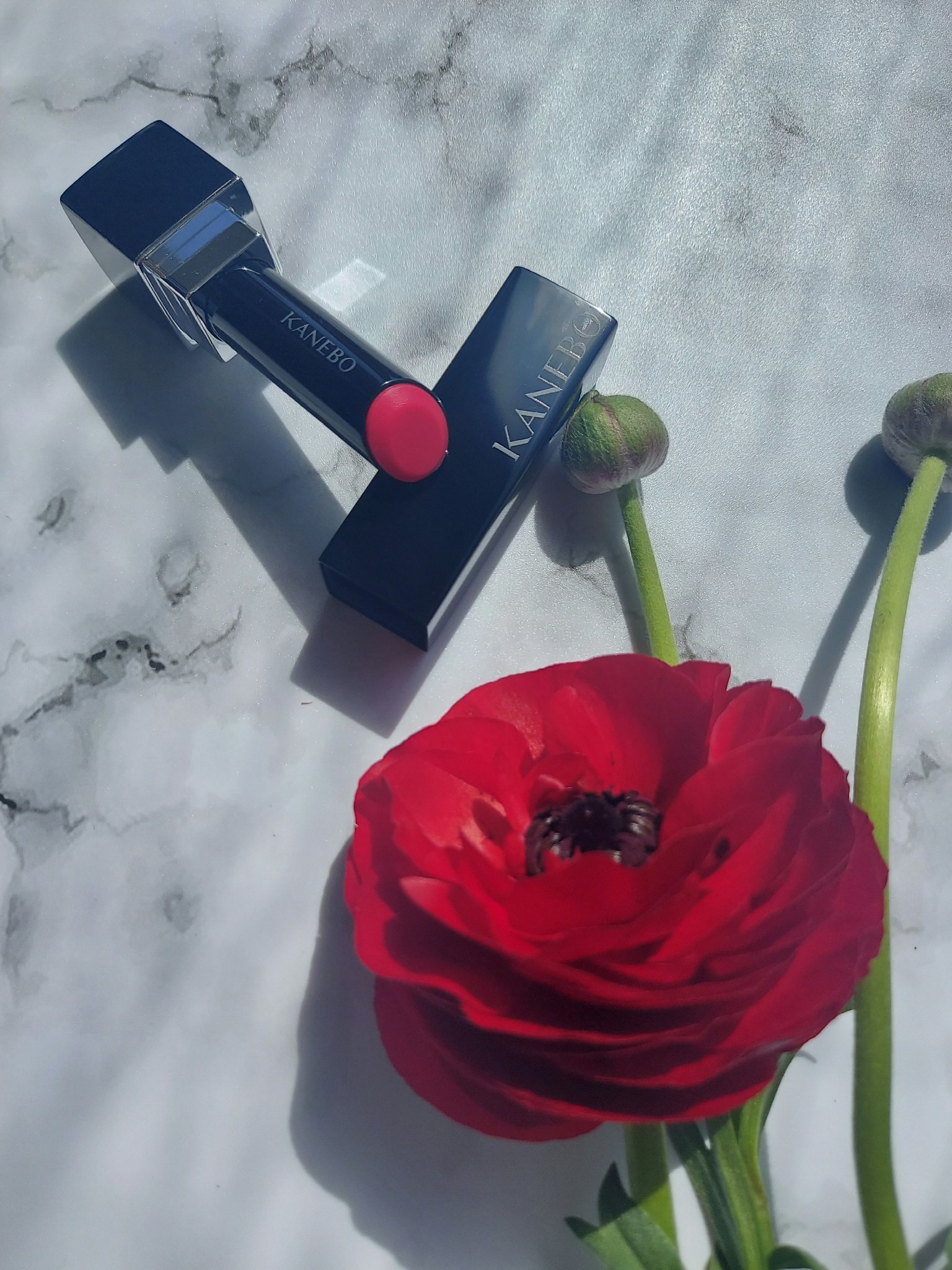 ルージュスターヴァイブラント EX3 Cranberry Drop/KANEBO/口紅を使ったクチコミ（1枚目）