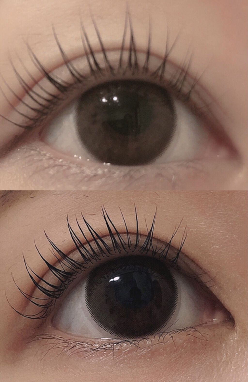 バンビシリーズ ワンデー ナチュラル Natural Nude/AngelColor/ワンデー（１DAY）カラコンを使ったクチコミ（2枚目）