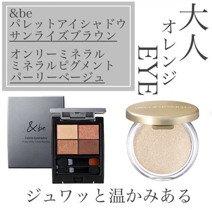 ミネラルピグメント/ONLY MINERALS/単色アイシャドウを使ったクチコミ(1枚目)