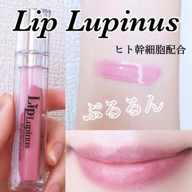 Lip Lupinus 004 グリッターベビーピンク/Lip Lupinus/リップグロスを使ったクチコミ（1枚目）