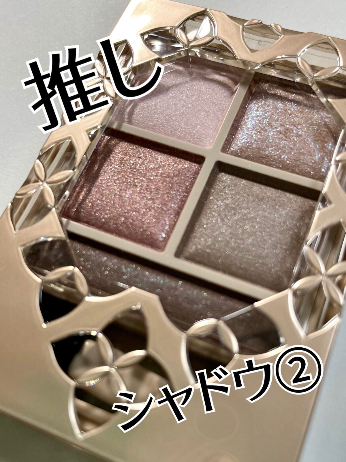 パノラマデザイン アイパレット/Visée/アイシャドウパレットを使ったクチコミ(1枚目)