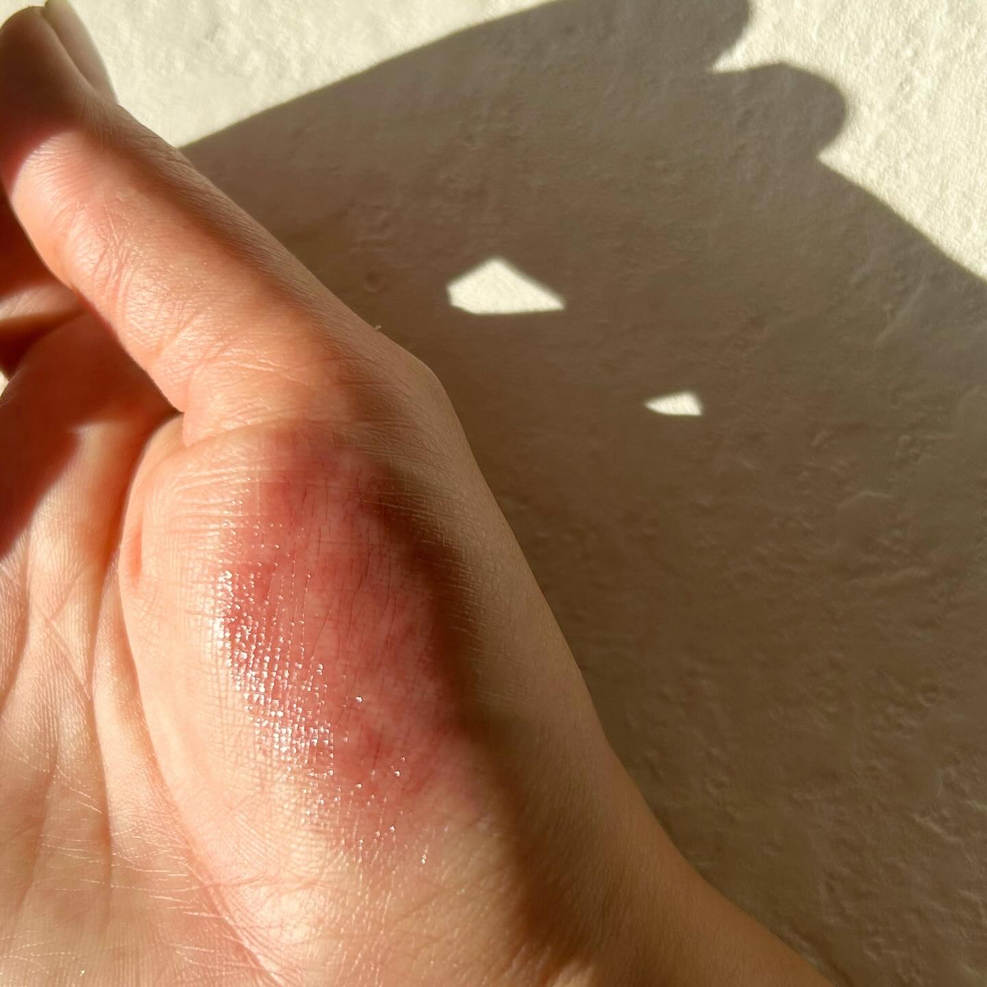 ネンマクフェイク ルージュ/Visée/口紅を使ったクチコミ（2枚目）