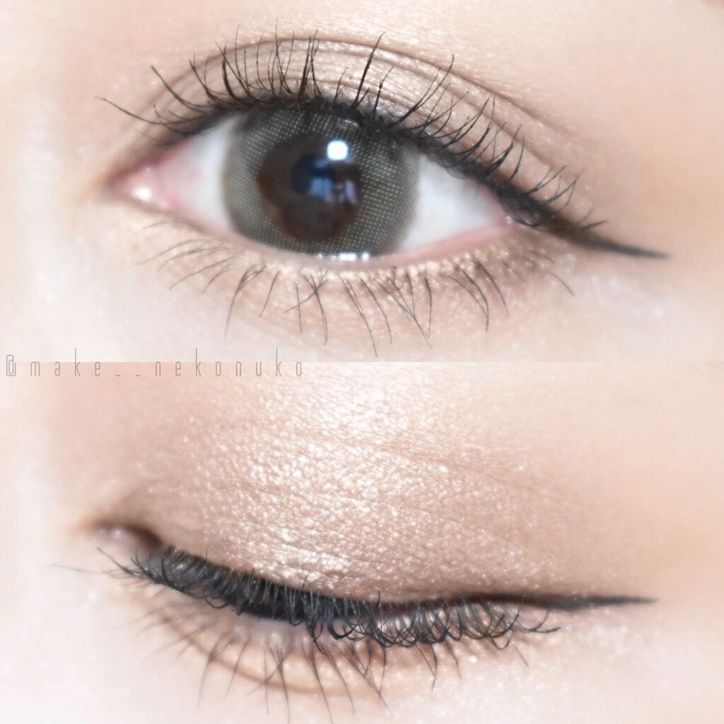 フラロッソ インテンソ アイシャドウ BR01/アスタリフト/アイシャドウパレットを使ったクチコミ（1枚目）