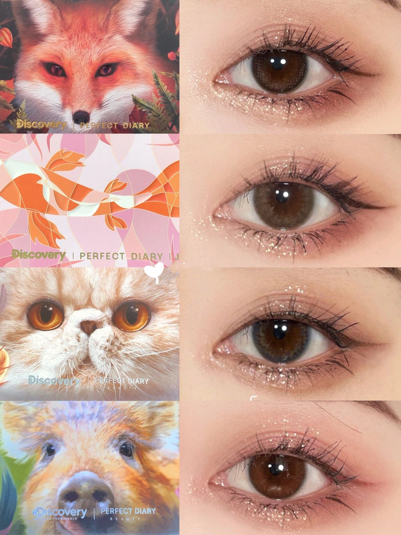 エクスプローラ12色 動物アイシャドウパレット/PERFECT DIARY/アイシャドウパレットを使ったクチコミ(1枚目)