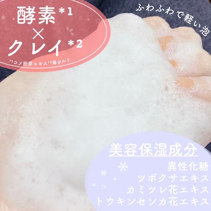 アクティブパウダークレイ酵素洗顔/SIRTFL/洗顔パウダーを使ったクチコミ(4枚目)