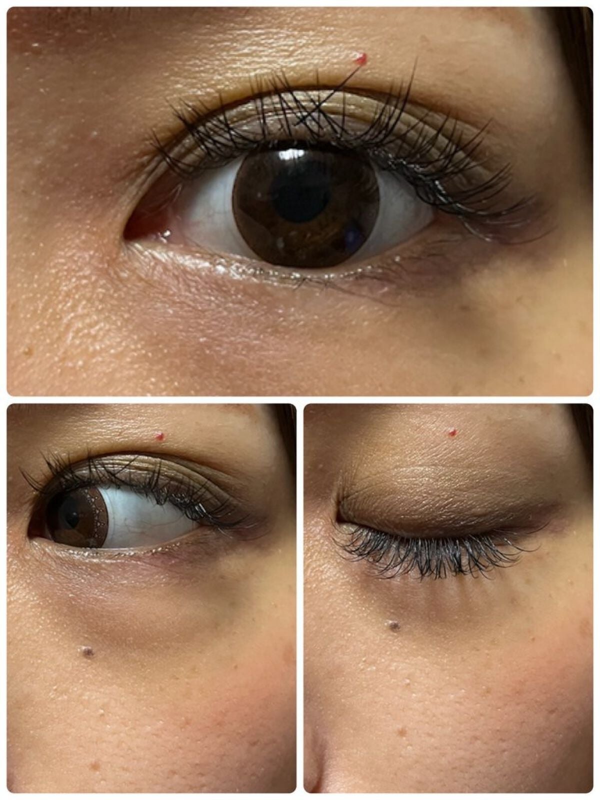 レ キャトル オンブル/CHANEL/アイシャドウパレットを使ったクチコミ(4枚目)