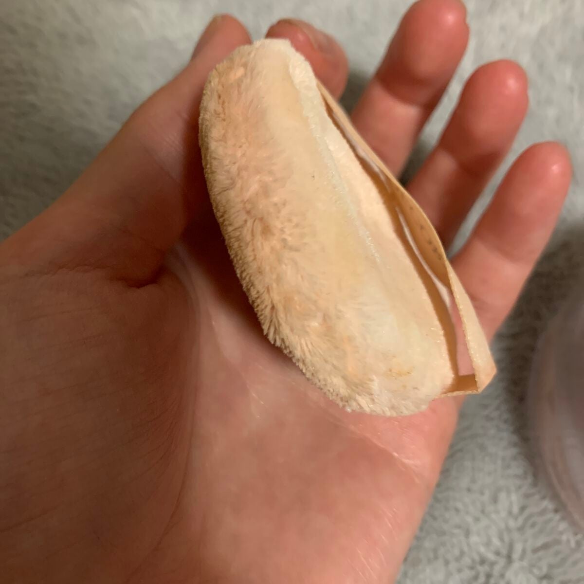 フェイスパウダー/DECORTÉ/ルースパウダーを使ったクチコミ(2枚目)