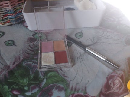 4色アイシャドウパレット/aZTK/アイシャドウパレットを使ったクチコミ(1枚目)