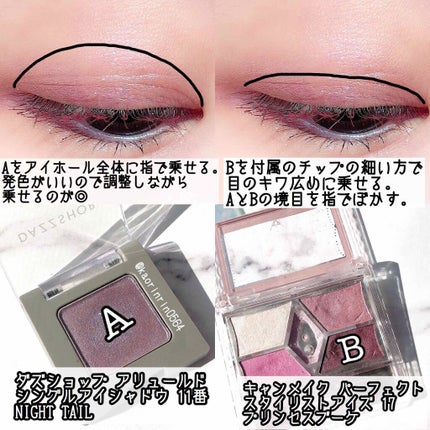 【旧品】パーフェクトスタイリストアイズ/キャンメイク/アイシャドウパレットを使ったクチコミ(2枚目)