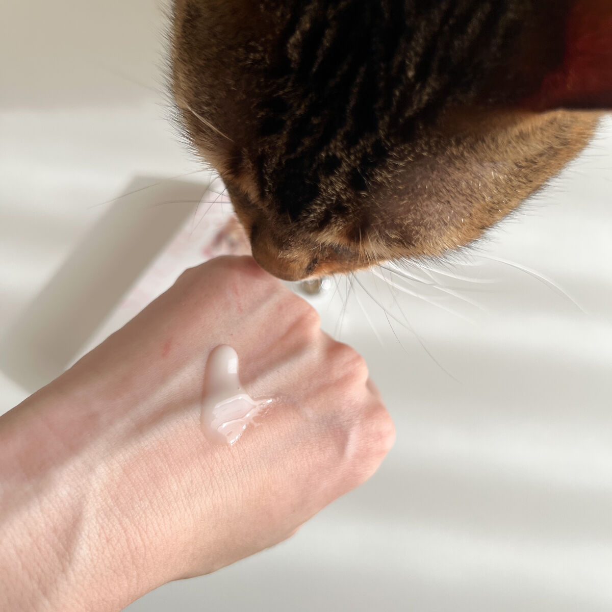 ハンドクリーム アルカナヤエカ327 /SE:CRUNO/ハンドクリームを使ったクチコミ（3枚目）