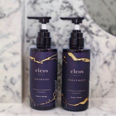 エクストラモイストシャンプー＆リペアトリートメント/Cleo's Beauté/シャンプー・コンディショナーを使ったクチコミ（1枚目）