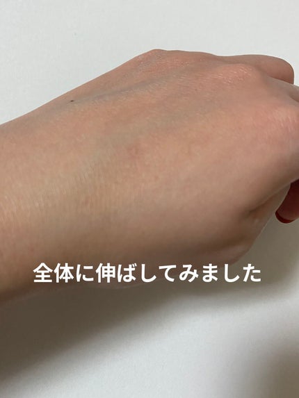 乾燥防止下地  25g/毛穴パテ職人/化粧下地を使ったクチコミ(3枚目)