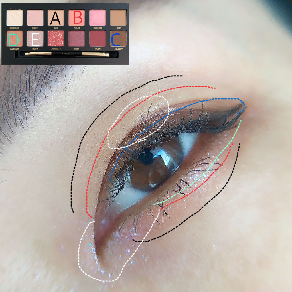 エクスプローラ12色 動物アイシャドウパレット/PERFECT DIARY/アイシャドウパレットを使ったクチコミ（2枚目）