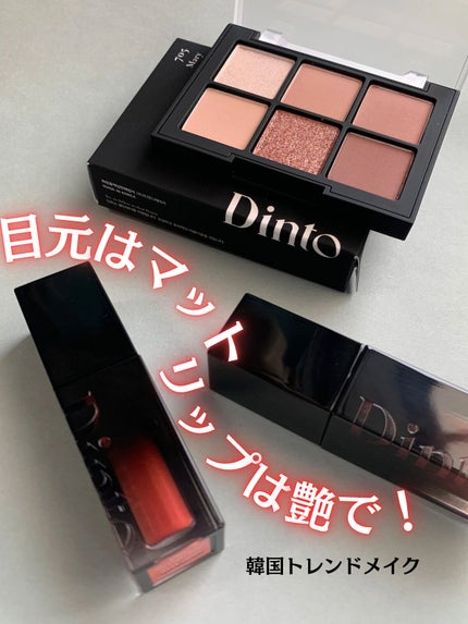 ブラーフィニシュシャドウパレット/Dinto/アイシャドウパレットを使ったクチコミ(1枚目)