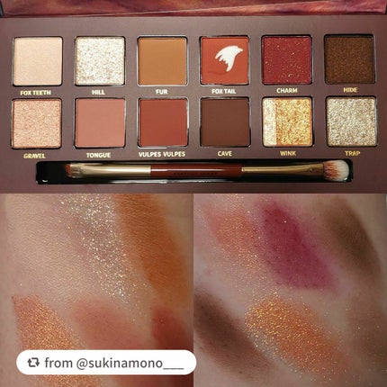 エクスプローラ12色 動物アイシャドウパレット/PERFECT DIARY/アイシャドウパレットを使ったクチコミ(3枚目)