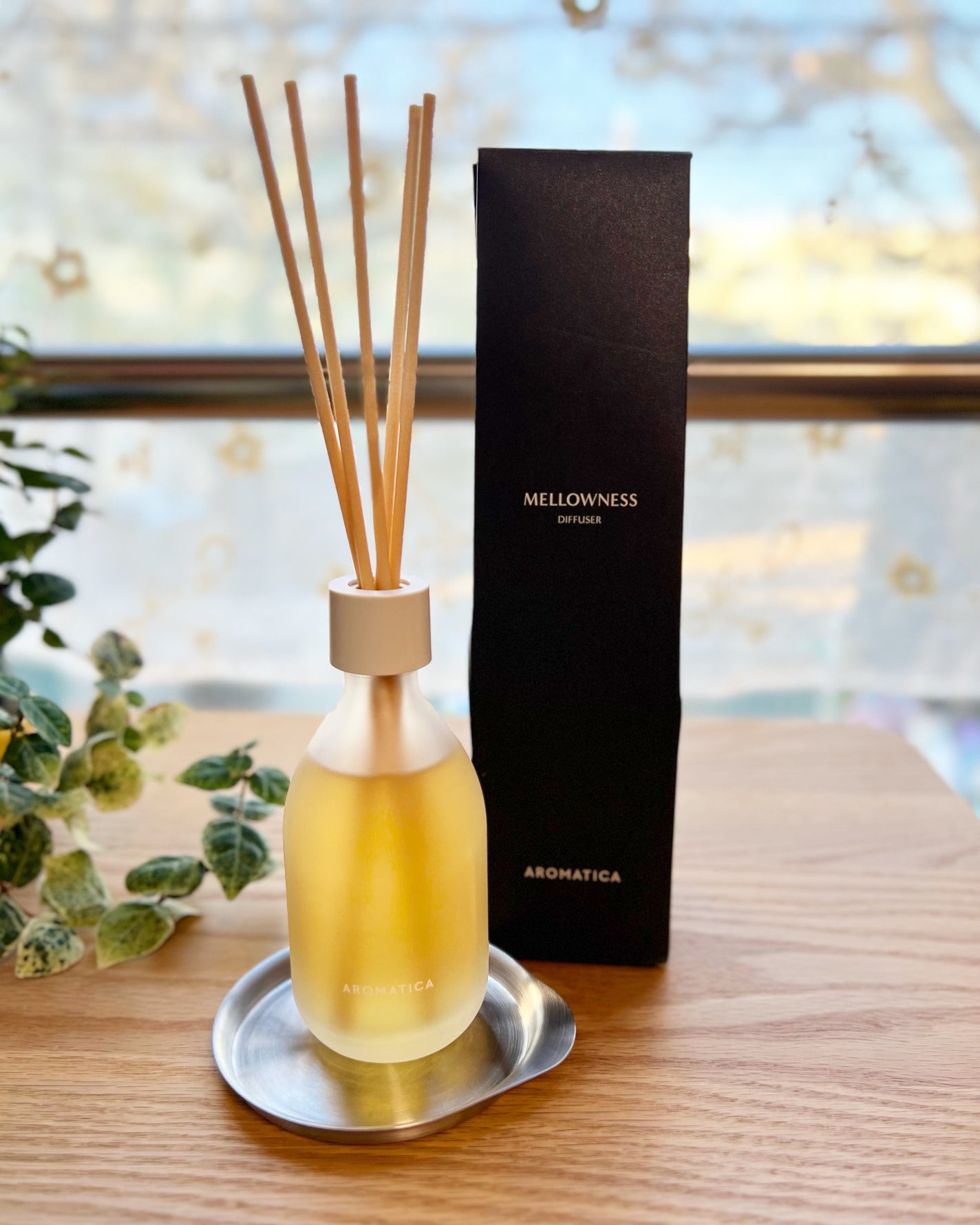 AROMATICA リードディフューザー メロウネス/AROMATICA/ルームフレグランスを使ったクチコミ(7枚目)