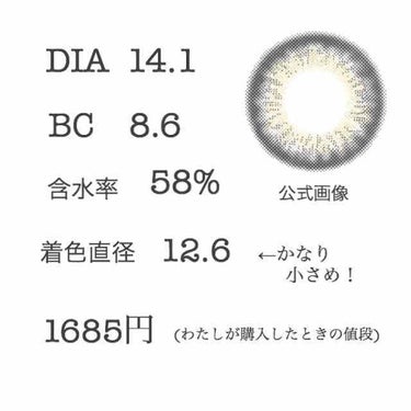 ReVIA 1day [COLOR] Mist Iris（ミストアイリス）/ReVIA/ワンデー（１DAY）カラコンを使ったクチコミ（2枚目）