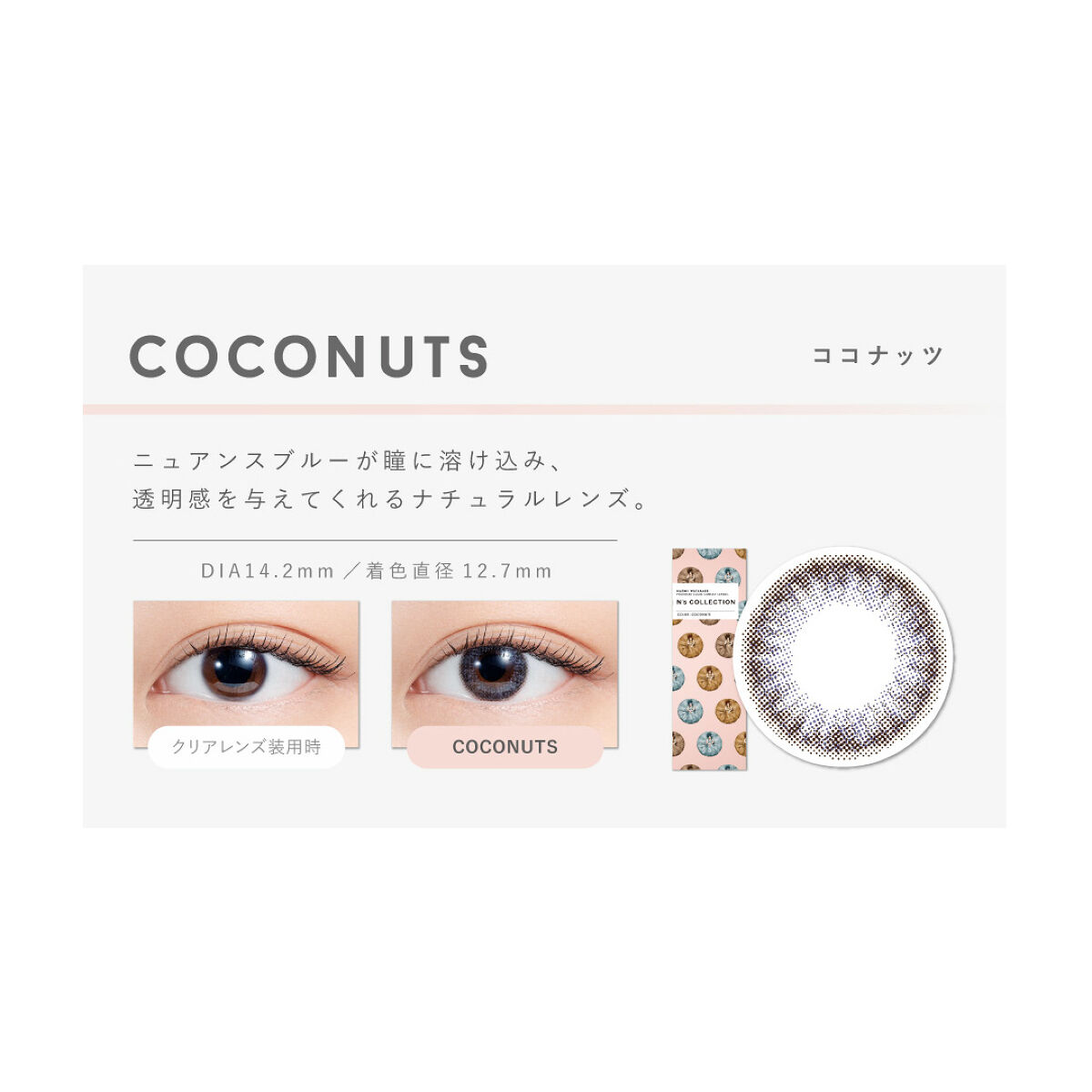 N’s COLLECTION 1day ココナッツ