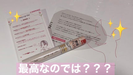 ジューシーリップティント/キャンメイク/口紅を使ったクチコミ(1枚目)