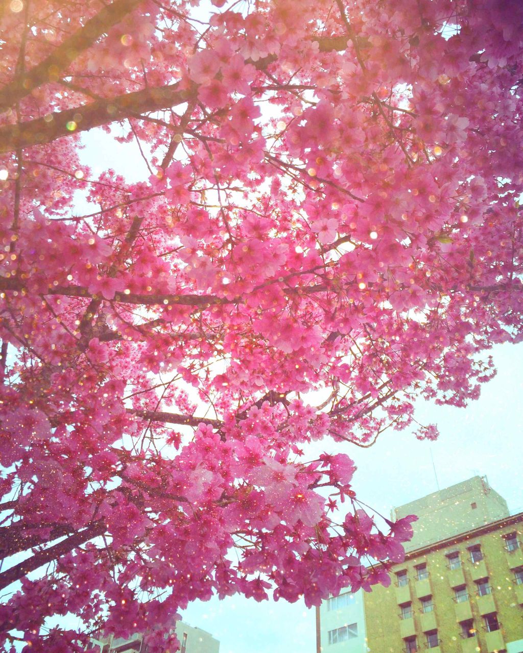 シゼナ ジューシーボトルマスク/Dermal/シートマスク・パックを使ったクチコミ(2枚目)