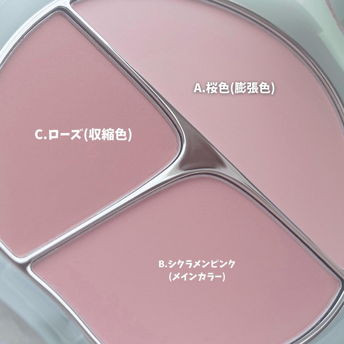 TIMAGE  3色チークパレット/TIMAGE/パウダーチークを使ったクチコミ（3枚目）