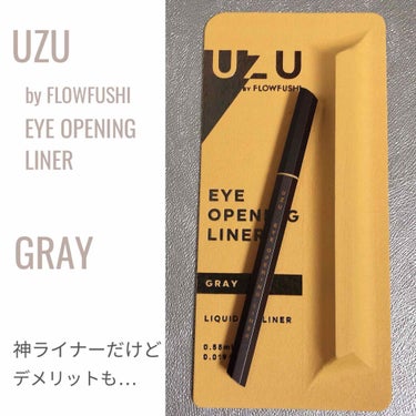 EYE OPENING LINER/UZU BY FLOWFUSHI/リキッドアイライナーを使ったクチコミ（1枚目）