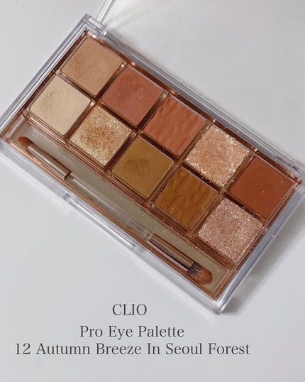 プロ アイ パレット/CLIO/アイシャドウパレットを使ったクチコミ(6枚目)