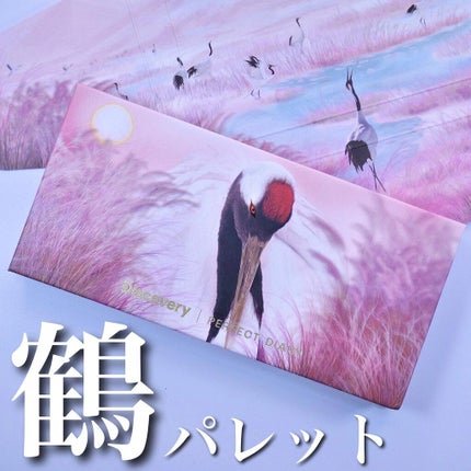 エクスプローラ12色 動物アイシャドウパレット/PERFECT DIARY/アイシャドウパレットを使ったクチコミ(1枚目)