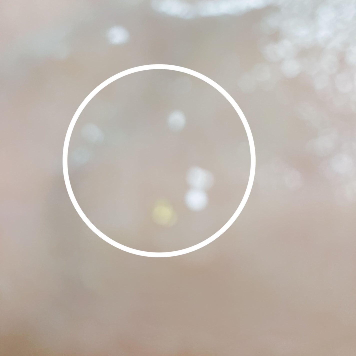 EXO THE LAB.SERUM/EXO THE LAB./美容液を使ったクチコミ(4枚目)