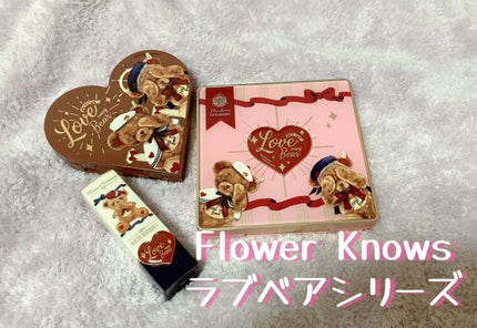 Love Bear 9色 アイシャドウパレット/FlowerKnows/アイシャドウパレットを使ったクチコミ(1枚目)