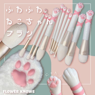 Babycat 11本ブラシセット(大)/FlowerKnows/メイクブラシを使ったクチコミ（1枚目）