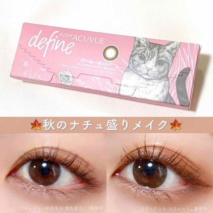 パーフェクトスタイリストアイズ/キャンメイク/アイシャドウパレットを使ったクチコミ(1枚目)