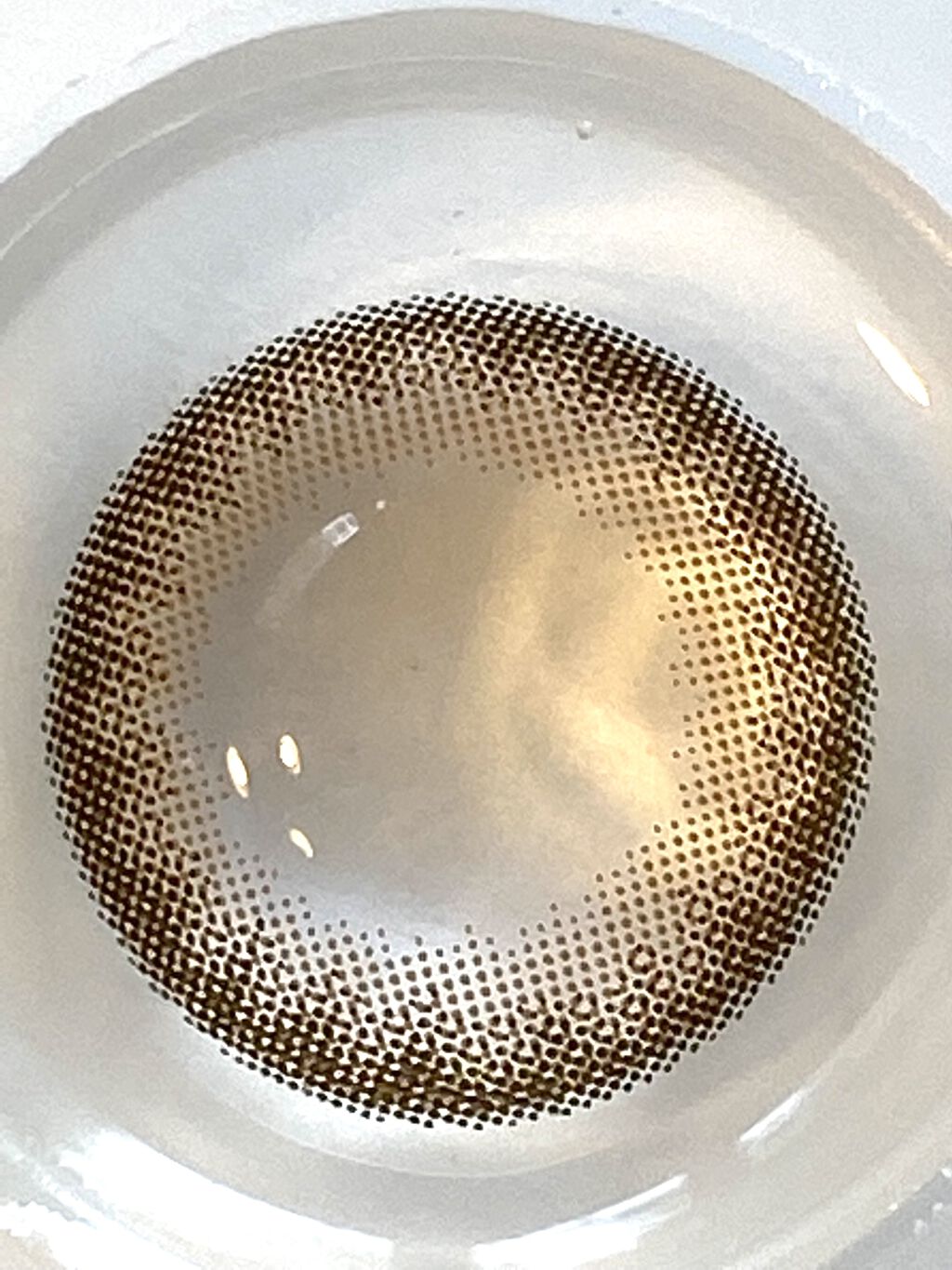 feliamo 1day/feliamo/ワンデー（１DAY）カラコンを使ったクチコミ（3枚目）