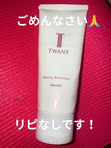 ビューティリフレッシャー/TWANY/その他洗顔料を使ったクチコミ（1枚目）